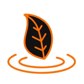 Titulo principal Marca del expresso